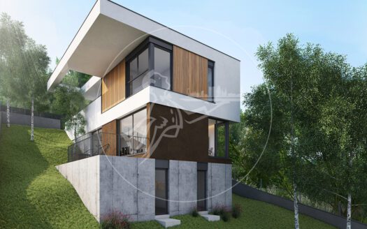 Magnificent promotion of Eco-efficient homes